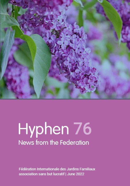 Hyphen 76 cover.jpg