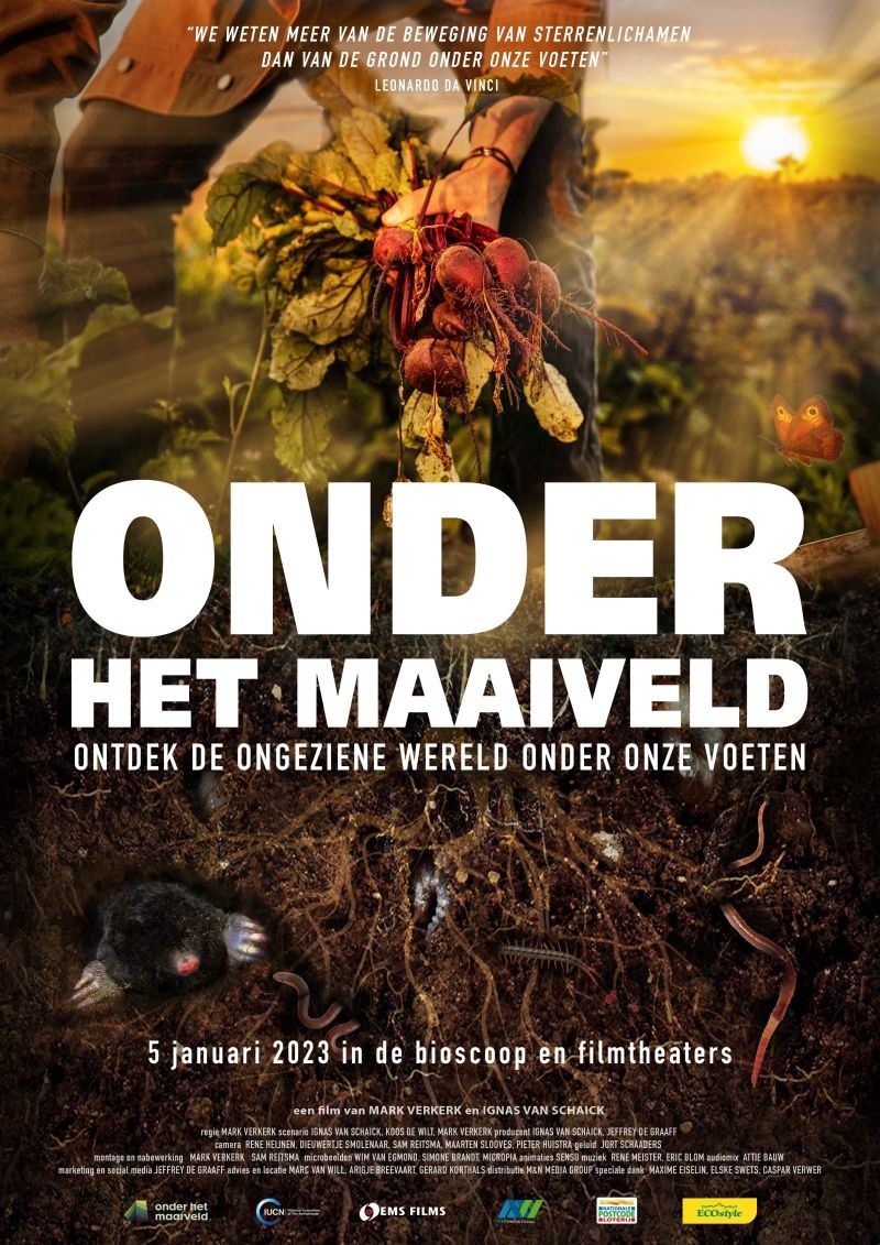 Onder het maaiveld.jpg