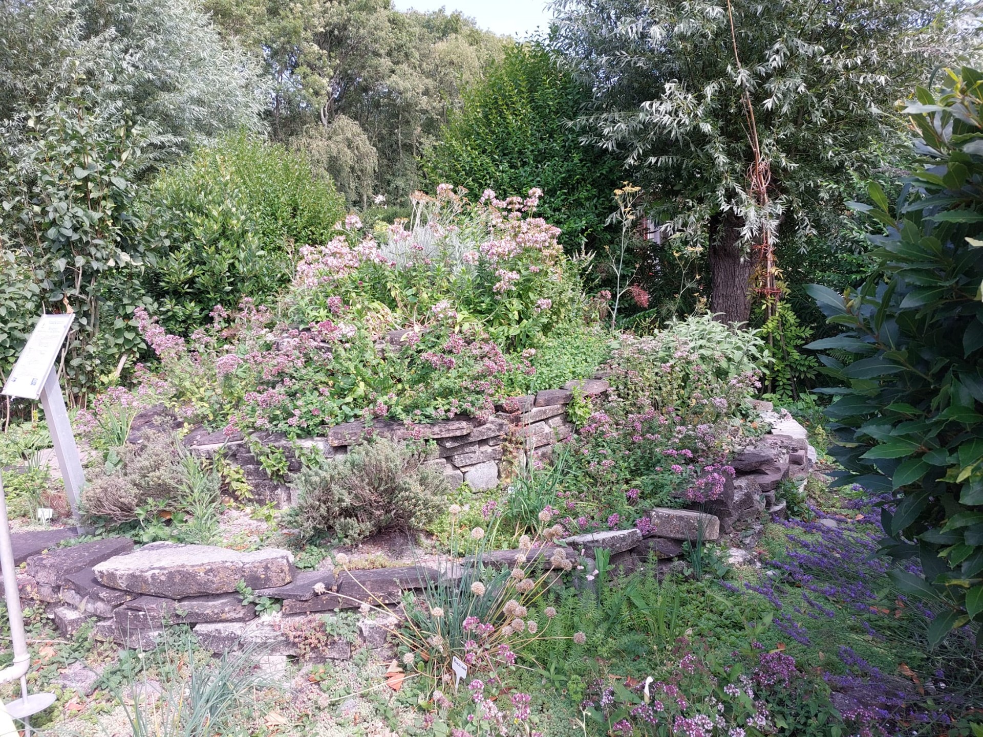image2.jpeg
