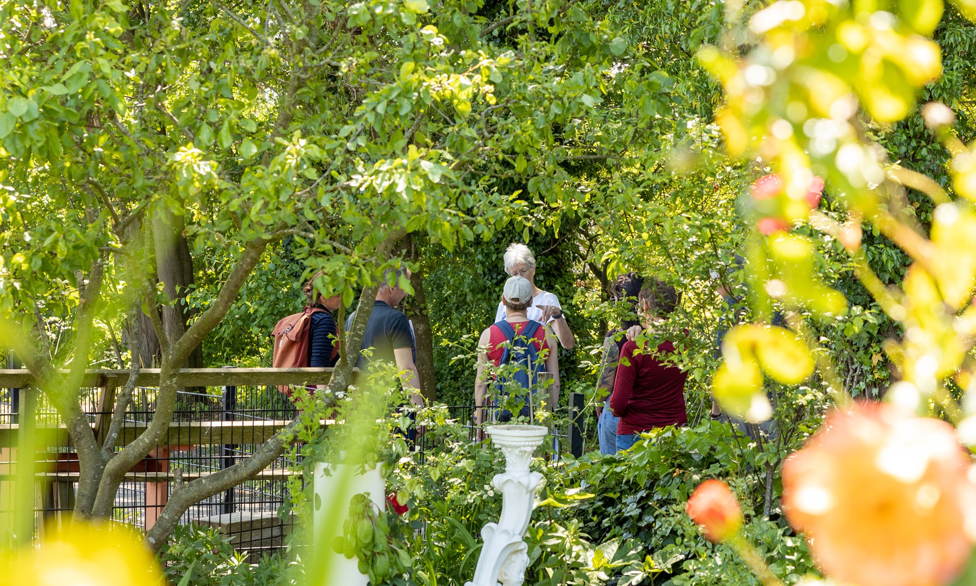 Open Tuinendag Zonnegaarde (13).jpg