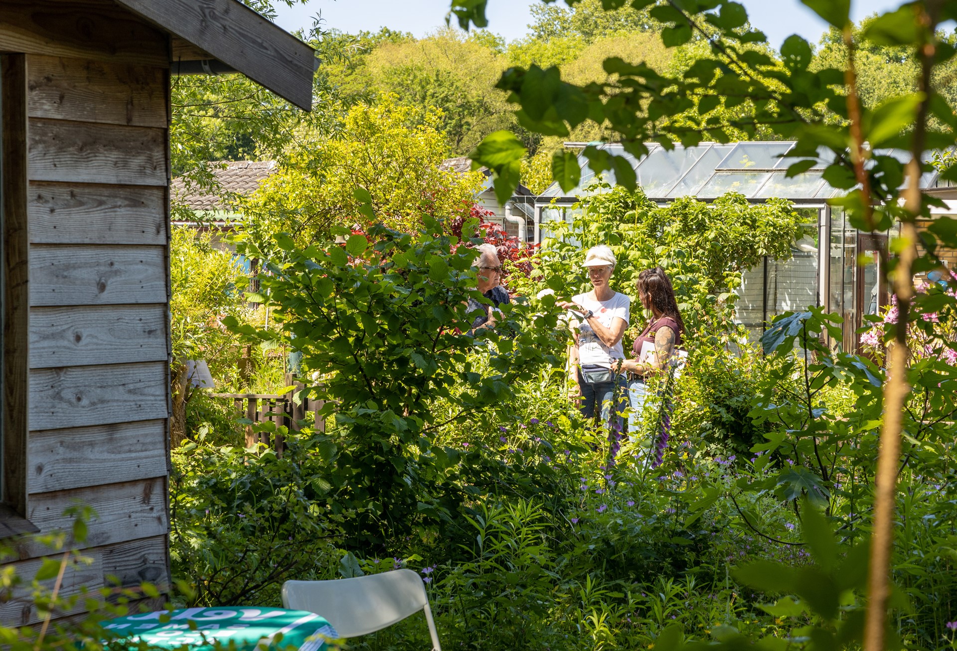 Open Tuinendag Zonnegaarde (20).jpg