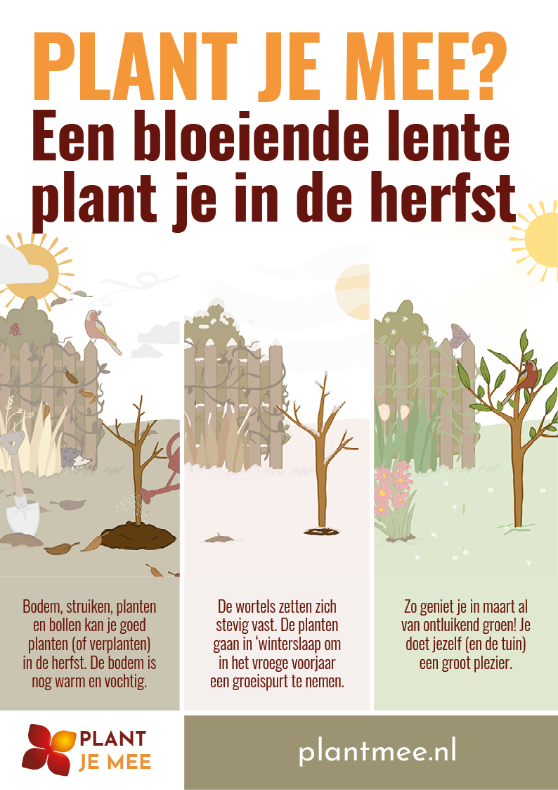 Plant je mee - een bloeiende lente plant je in de herfst.png