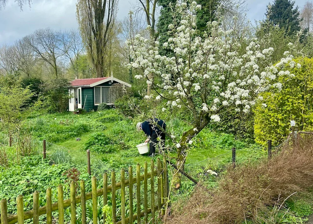 Tuin met huisje aan de oostkant van de ringdijk foto groen oost arnoud wolff.png